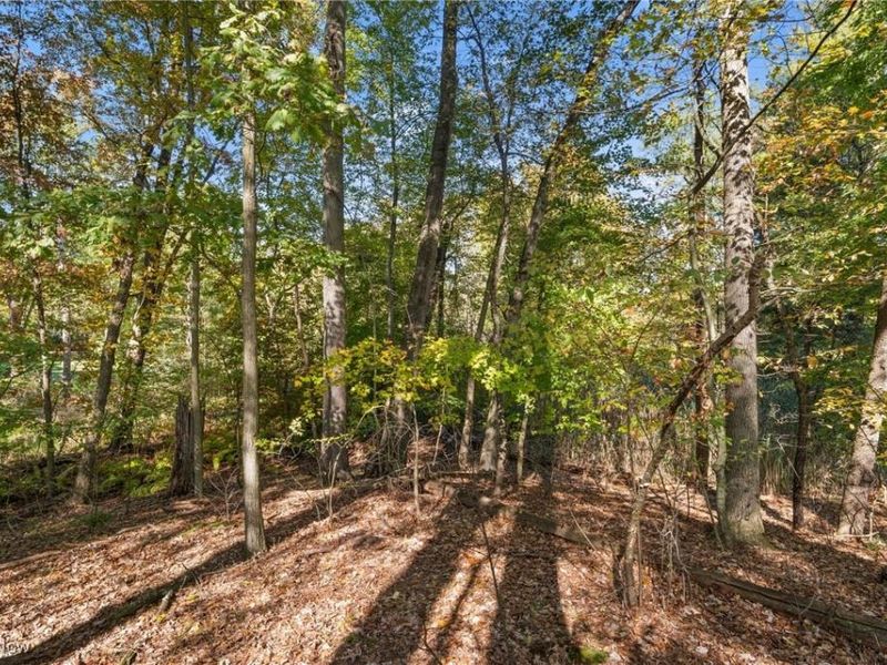 W Comet Road, Clinton, OH 44216 Photo 10