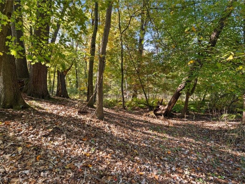 W Comet Road, Clinton, OH 44216 Photo 11