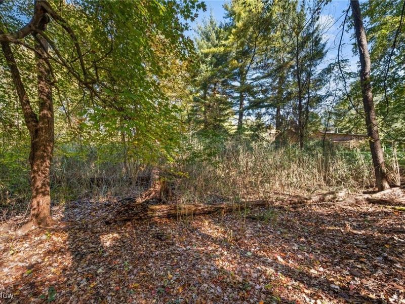 W Comet Road, Clinton, OH 44216 Photo 12