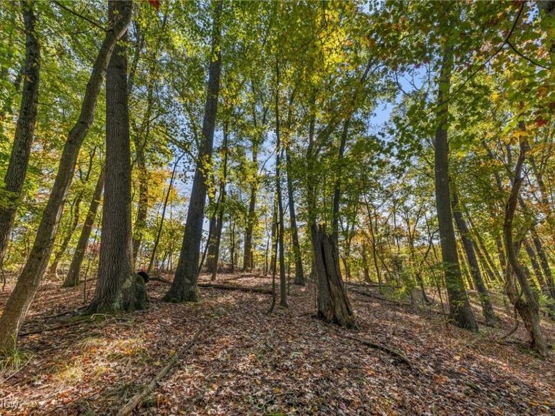 W Comet Road, Clinton, OH 44216 Photo 13