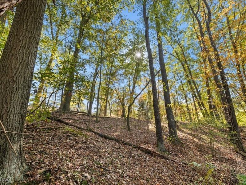 W Comet Road, Clinton, OH 44216 Photo 14