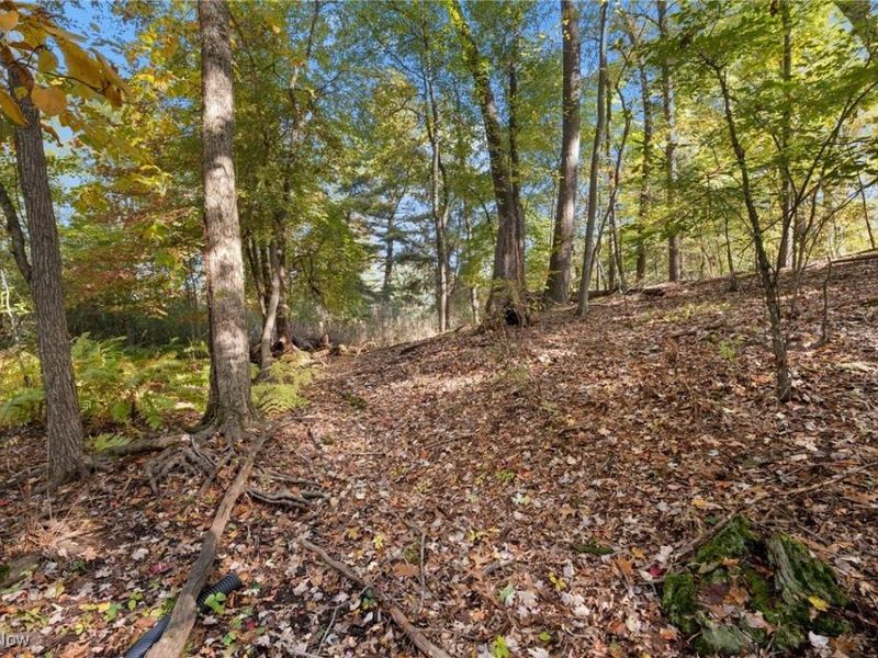 W Comet Road, Clinton, OH 44216 Photo 15