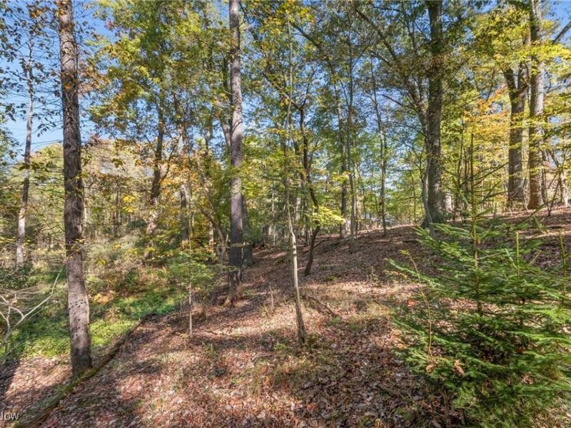 W Comet Road, Clinton, OH 44216 Photo 16