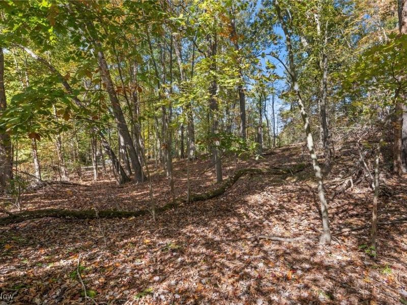 W Comet Road, Clinton, OH 44216 Photo 19