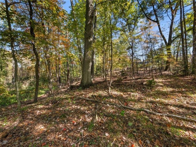 W Comet Road, Clinton, OH 44216 Photo 4