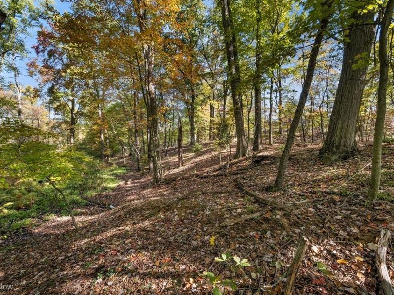 W Comet Road, Clinton, OH 44216 Photo 5