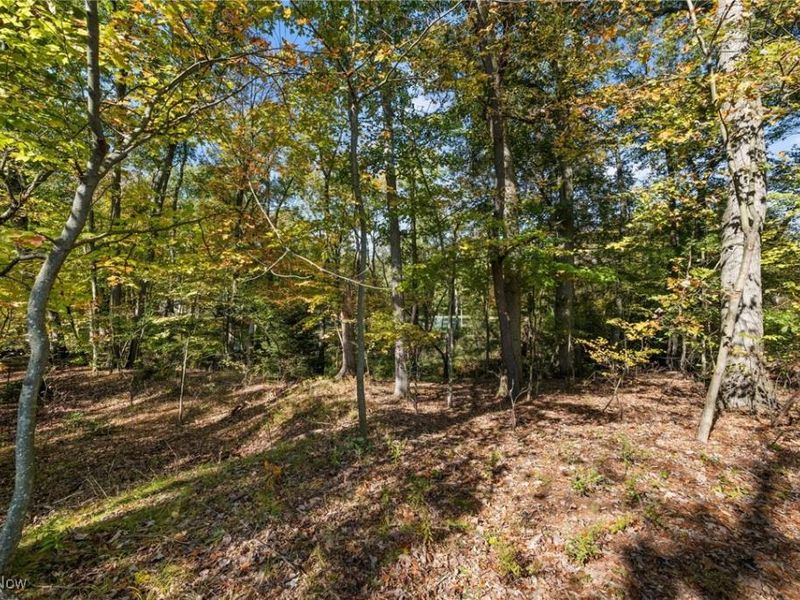 W Comet Road, Clinton, OH 44216 Photo 7