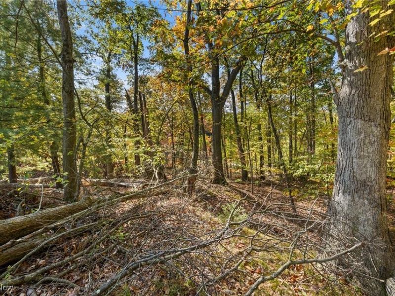 W Comet Road, Clinton, OH 44216 Photo 8