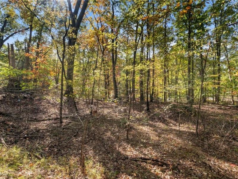 W Comet Road, Clinton, OH 44216 Photo 9