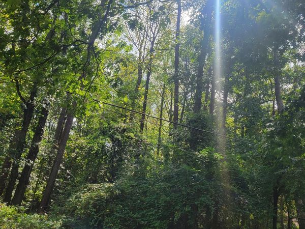 0 Bohannon, Grantville, GA 30220