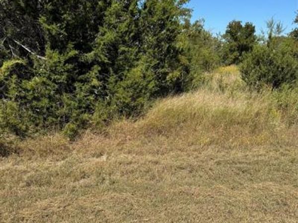 36026 Cedar Ridge Drive, Whitney, TX 76692