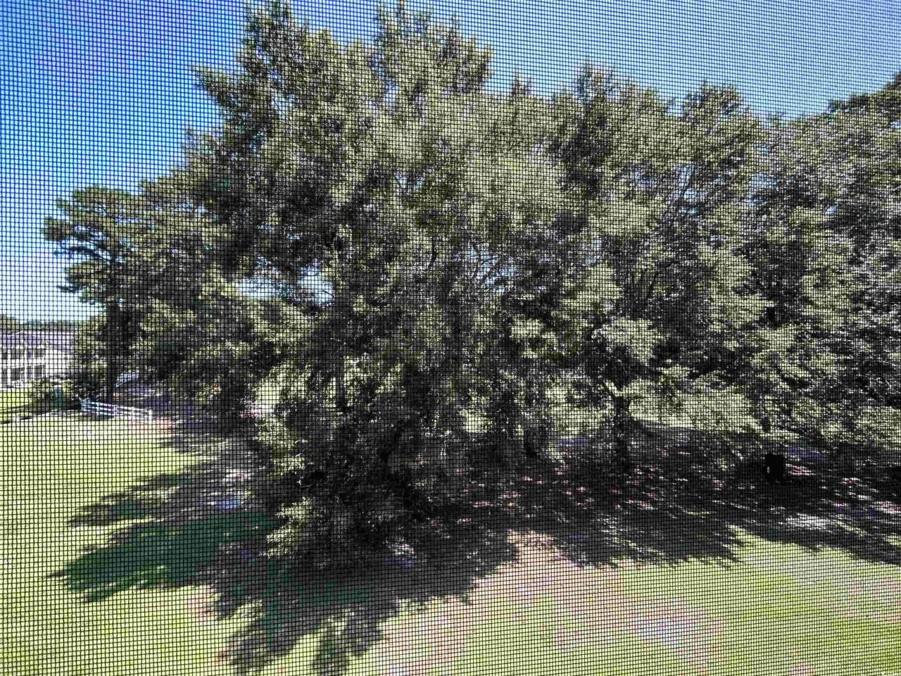 1525 Lantern Rest Dr. Photo 13