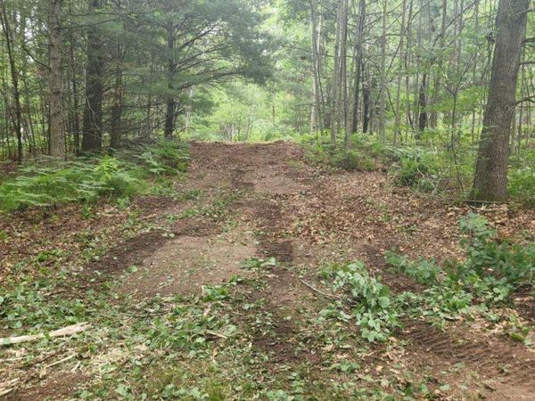 STATE HWY 180, Porterfield, WI 54159