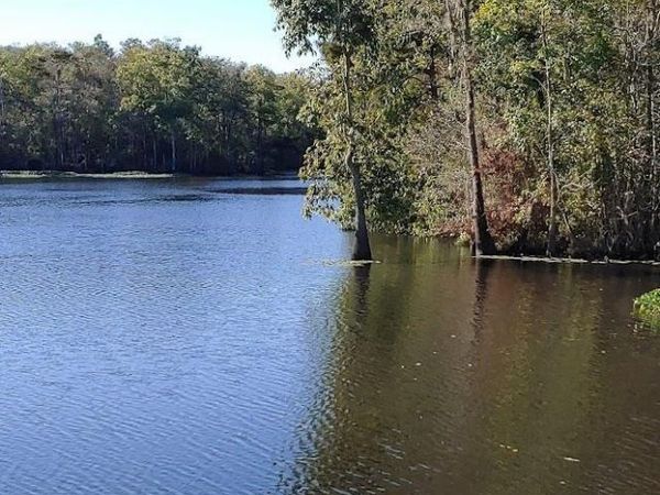 20401 Perrin Ferry Rd, Springfield, LA 70462