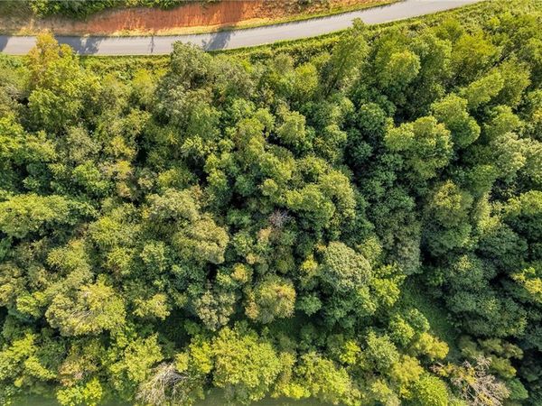 Lot 19 Regal Oaks Drive, Wilkesboro, NC 28697