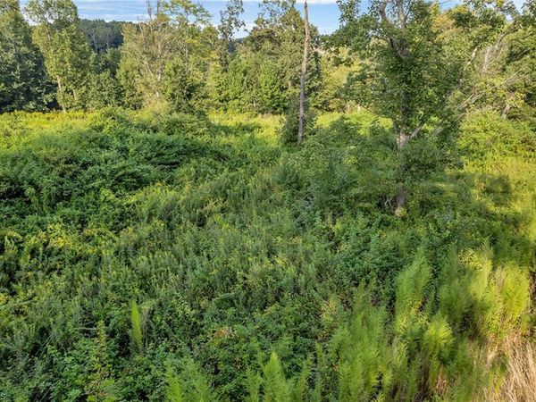 Lot 24 Regal Oaks Drive, Wilkesboro, NC 28697