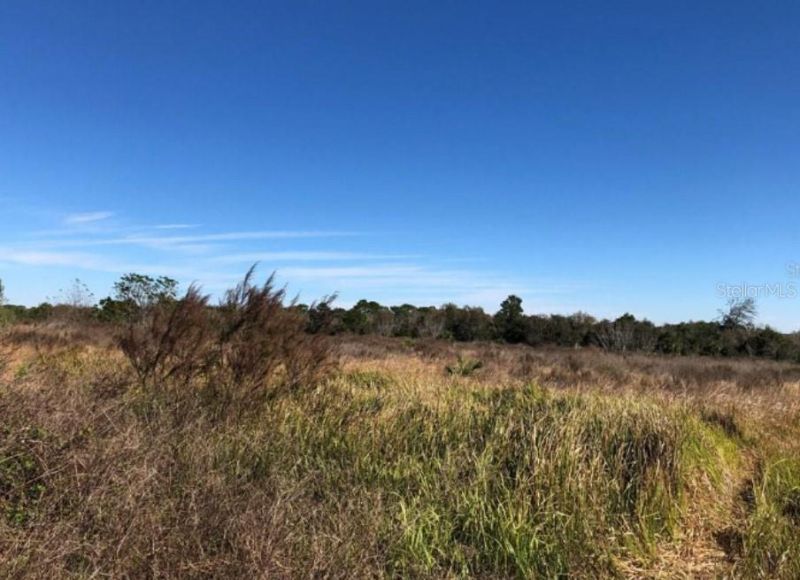 9221 New York Avenue, Hudson, FL 34667 Photo