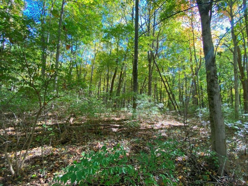 1010 W Herr Road, Urbana, OH 43078 Photo 46