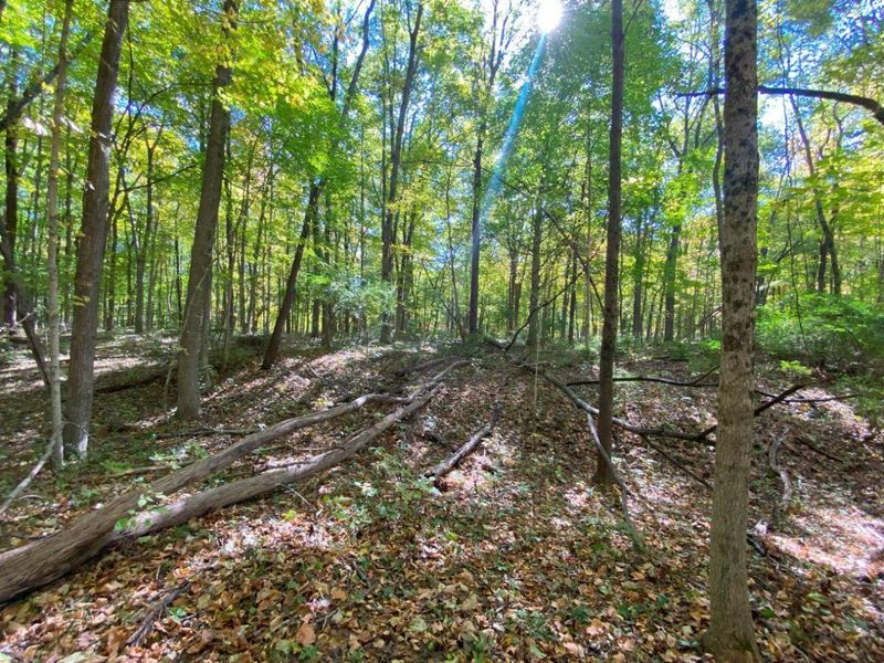 1010 W Herr Road, Urbana, OH 43078 Photo 48