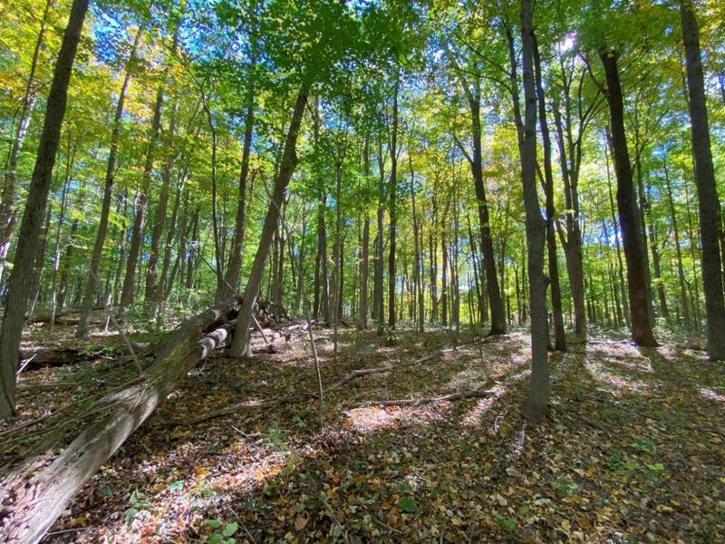 1010 W Herr Road, Urbana, OH 43078 Photo 50