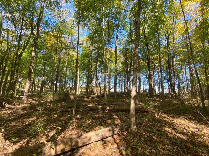 1010 W Herr Road, Urbana, OH 43078 Photo 51