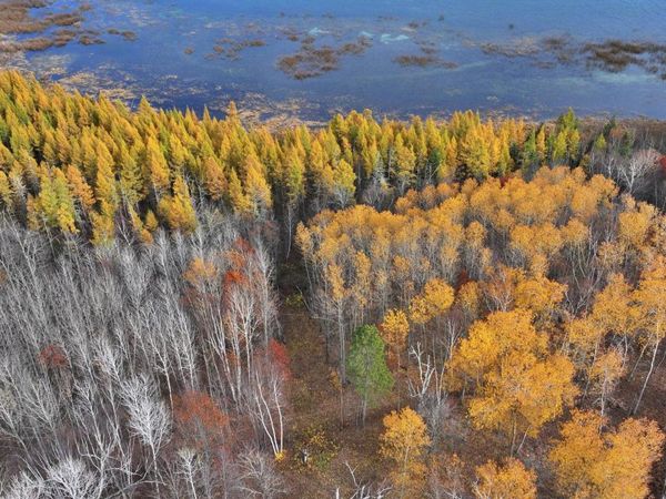 TBD New Paradise Point Drive - Lot 8, Lake George, MN 56458