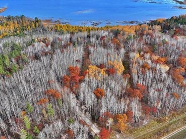 TBD County 4 - Lot 10, Lake George, MN 56458