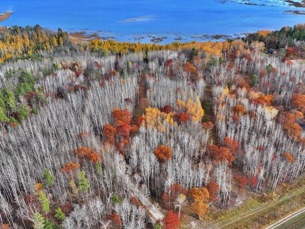 TBD County 4 - Lot 10, Lake George, MN 56458
