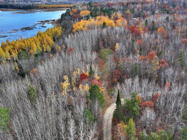 TBD New Paradise Point Drive - Lot 7, Lake George, MN 56458