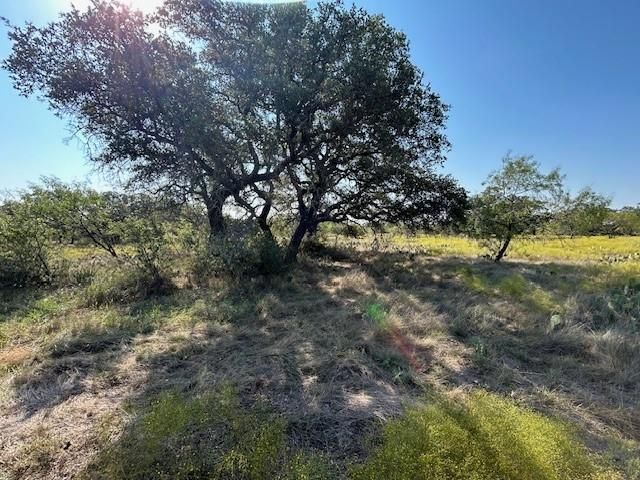 Tbd Cr 204, Richland Springs, TX 76871 Main Photo