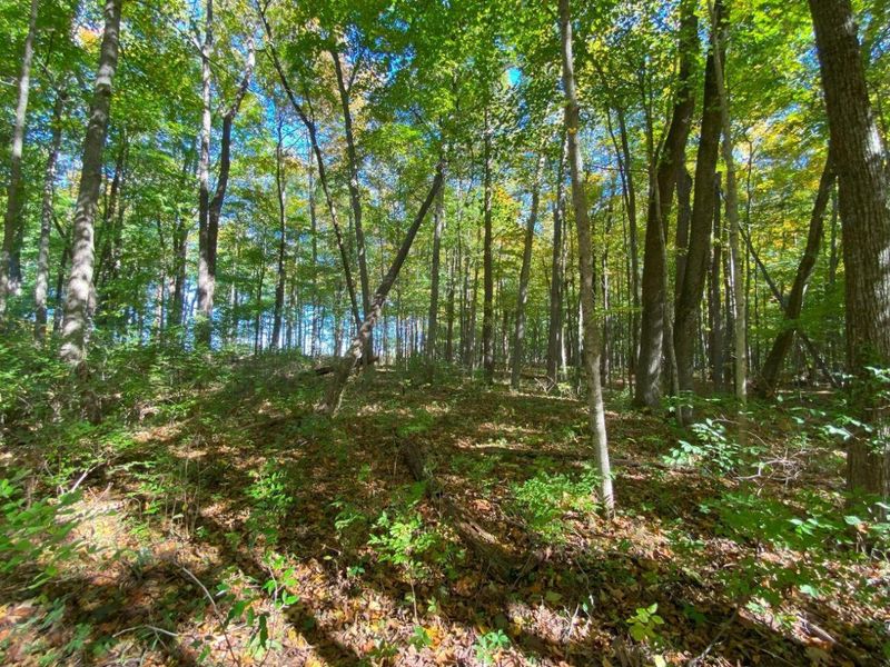 1010 W Herr Road, Urbana, OH 43078 Photo 48