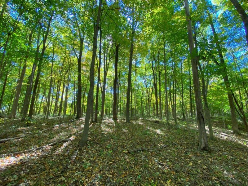 1010 W Herr Road, Urbana, OH 43078 Photo 50