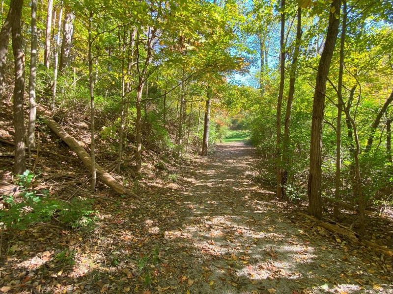 1010 W Herr Road, Urbana, OH 43078 Photo 6