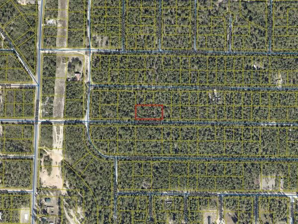 .69 Acre E Dogwood East Avenue, DeFuniak Springs, FL 32433