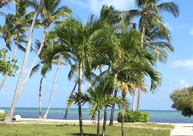 75131 Overseas Highway, Islamorada, FL 33036 Photo