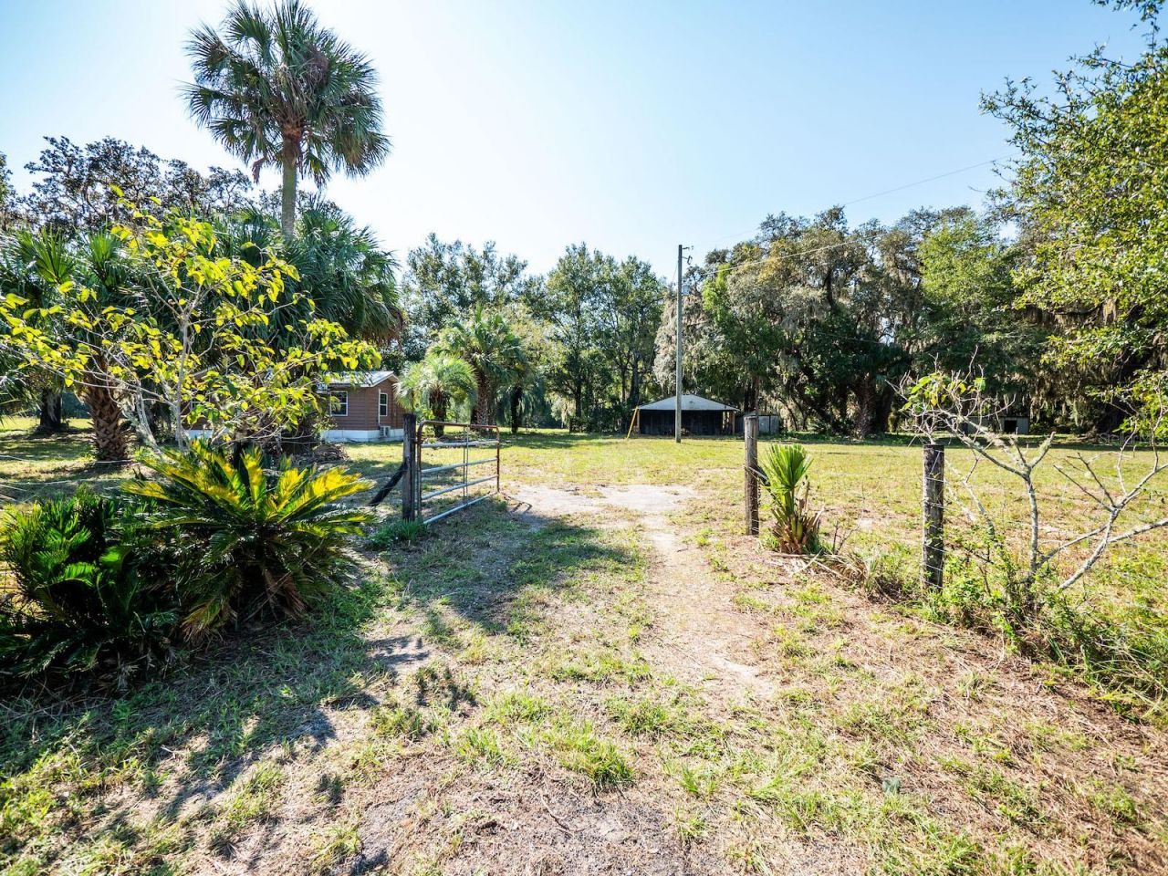 12146 E Highway 318, Fort Mc Coy, FL 32134 Photo