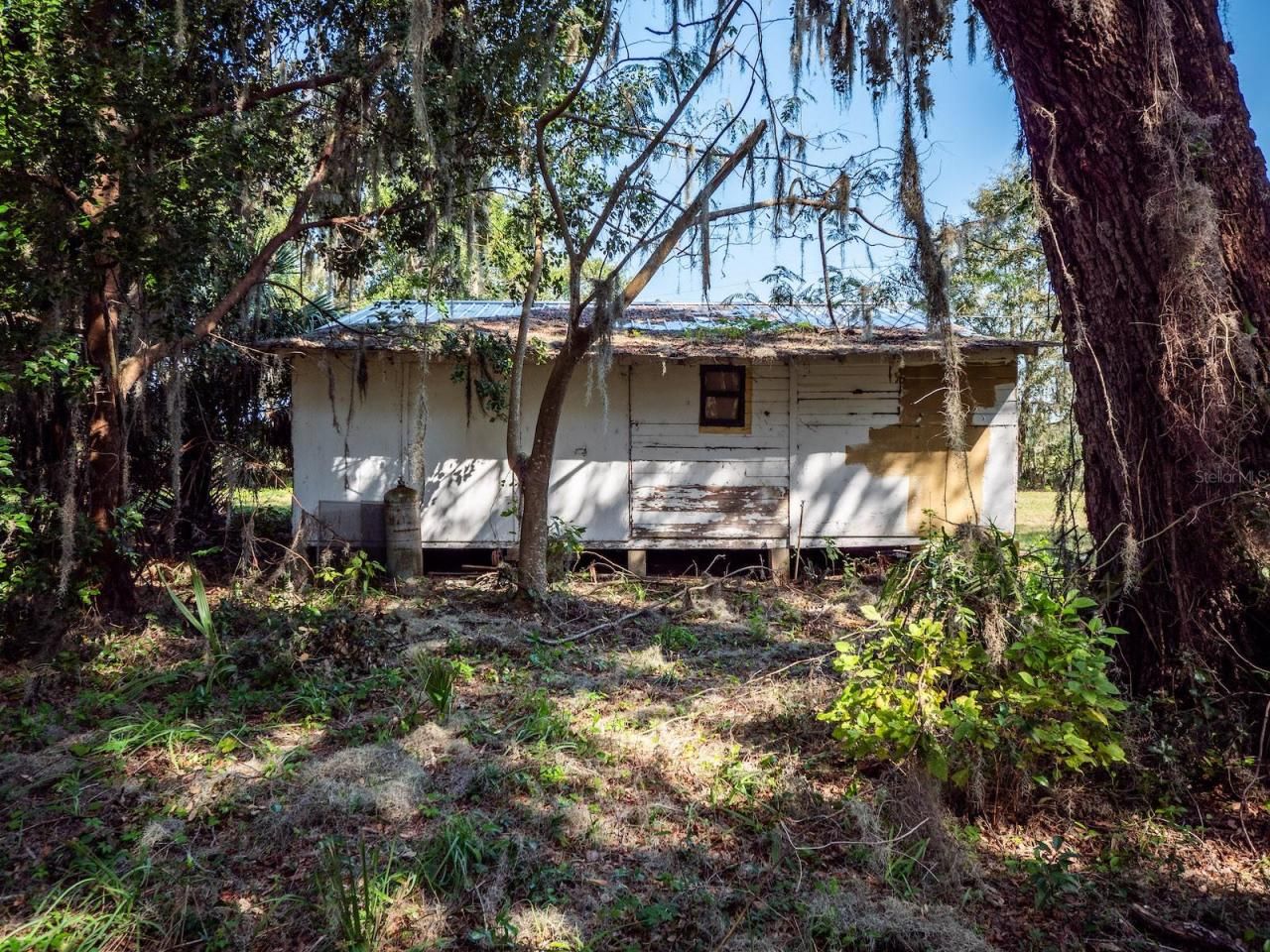 12146 E Highway 318, Fort Mc Coy, FL 32134 Photo