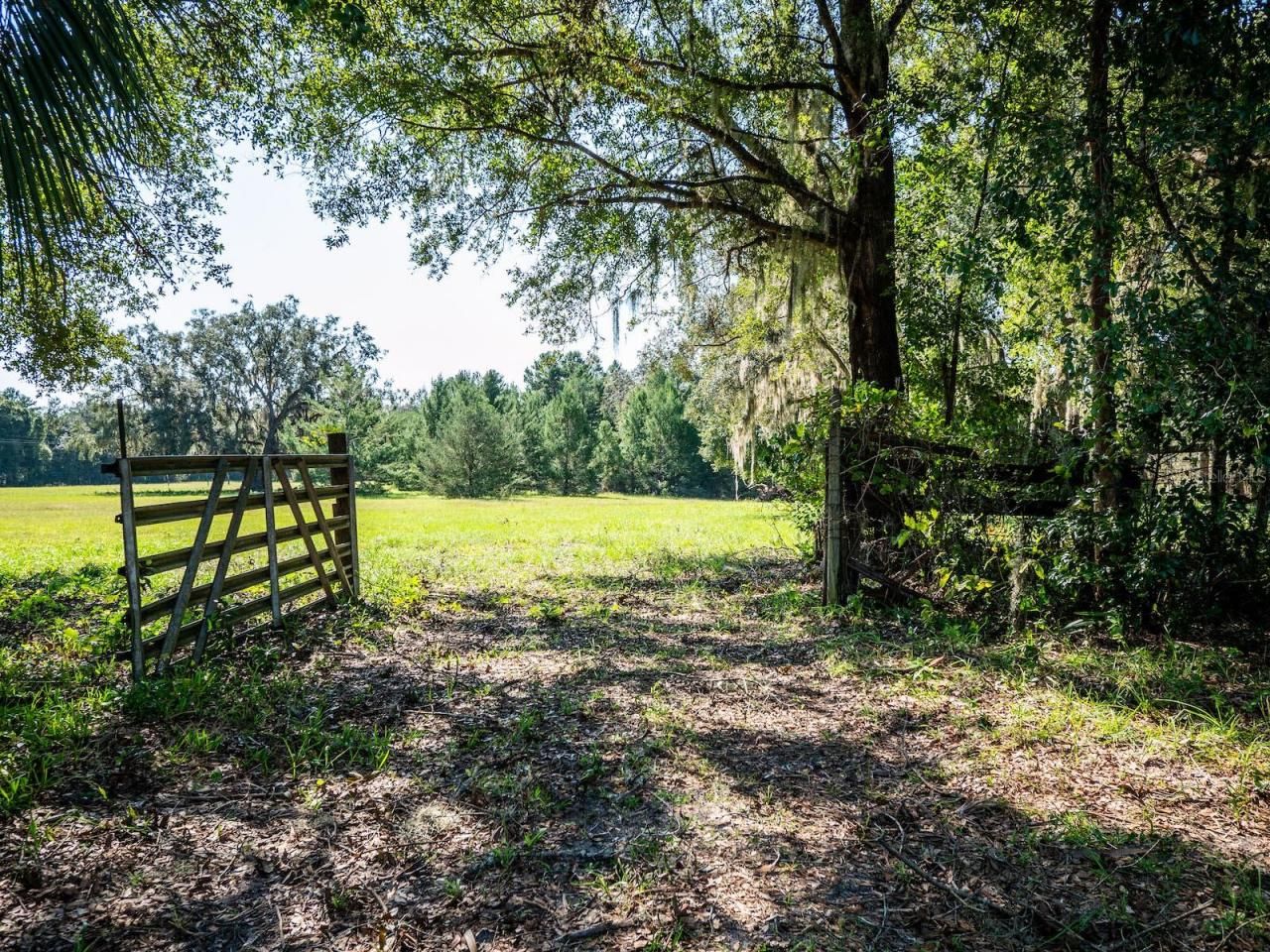 12146 E Highway 318, Fort Mc Coy, FL 32134 Photo