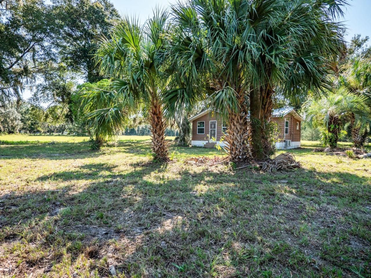 12146 E Highway 318, Fort Mc Coy, FL 32134 Photo