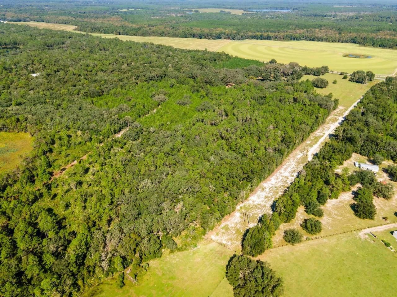 12146 E Highway 318, Fort Mc Coy, FL 32134 Photo