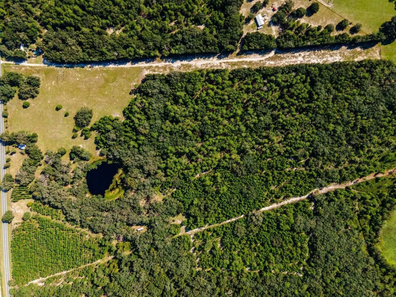 12146 E Highway 318, Fort Mc Coy, FL 32134 Photo