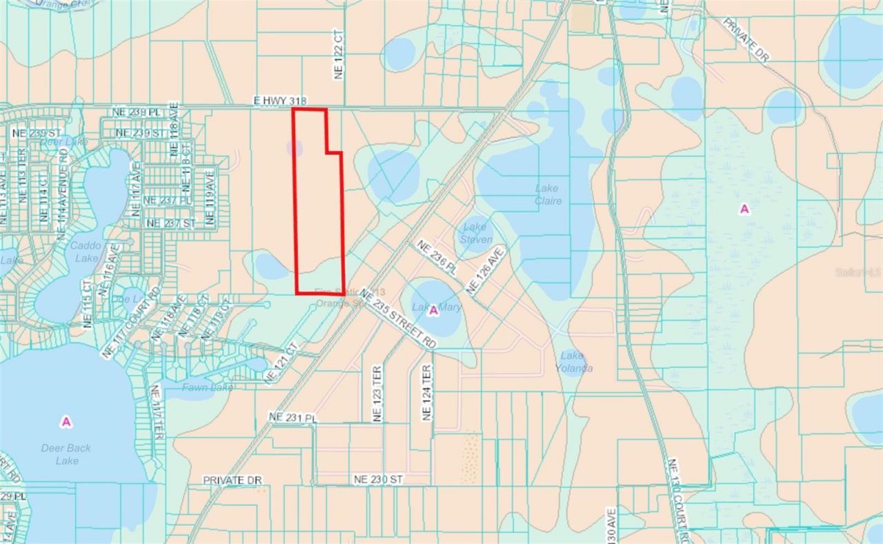 12146 E Highway 318, Fort Mc Coy, FL 32134 Photo
