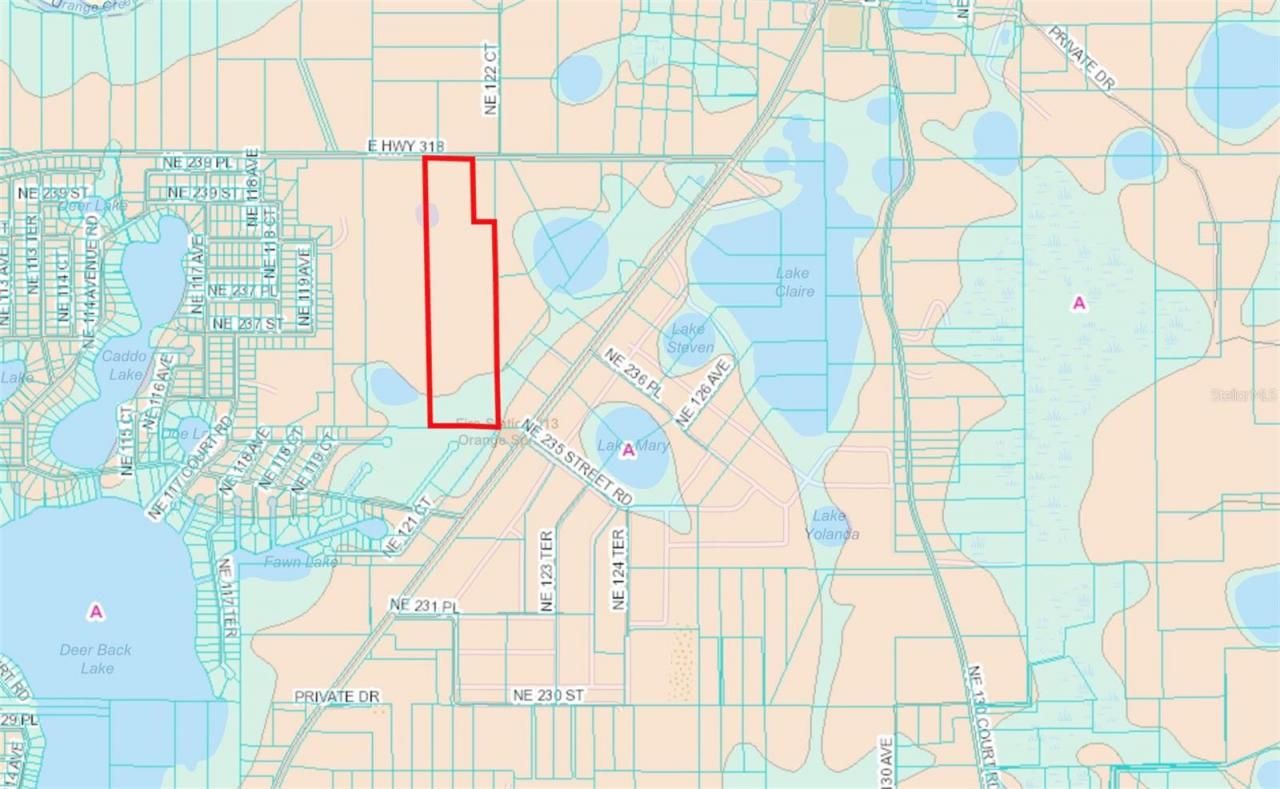 12146 E Highway 318, Fort Mc Coy, FL 32134 Photo