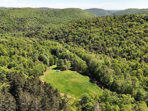 John Milk Road, Long Eddy, NY 13783