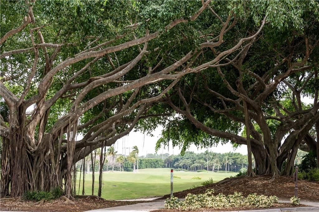 2835 Silverleaf Ln, Naples, FL 34105 Photo