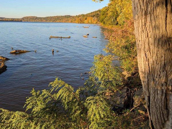 0 Ky-1992, Warsaw, KY 41095