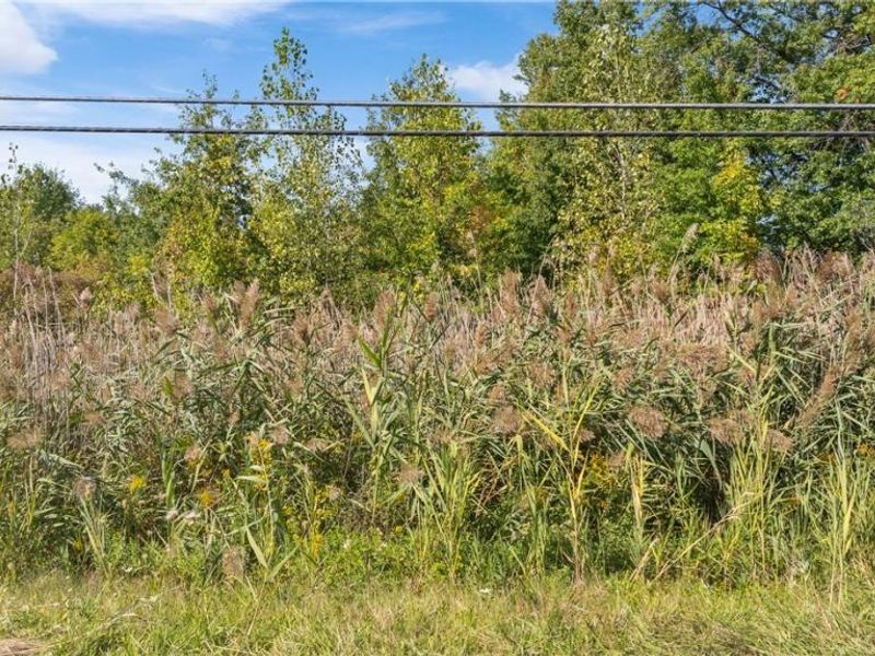 Bagley Road, North Ridgeville, OH 44039 Photo 1