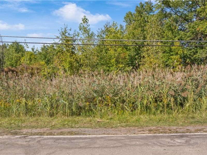 Bagley Road, North Ridgeville, OH 44039 Photo 4