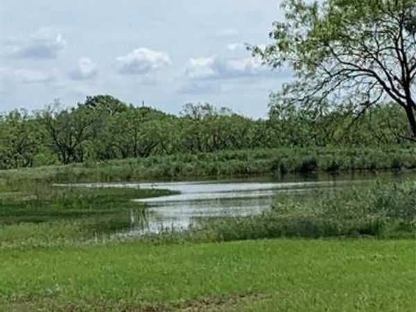 573 County Road 412, Carbon, TX 76435