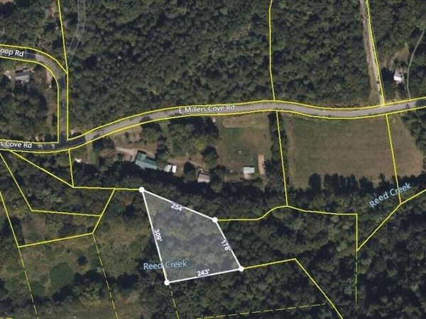 E Millers Cove Rd, Walland, TN 37886